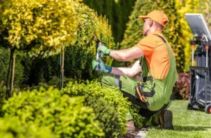 Lawn Care