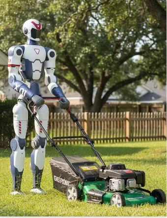 Grass Cutting